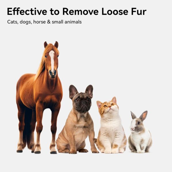 Limited time deal 20% off Cat & Dog Brush - Image 3