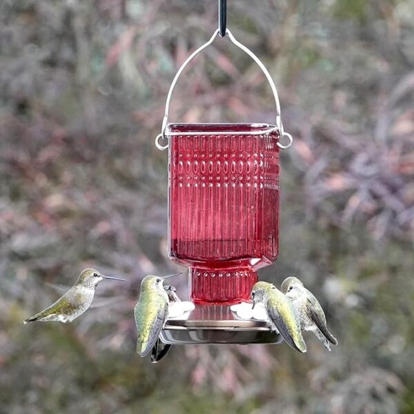 Limited time deal 30% off Bird Feeder - Image 2