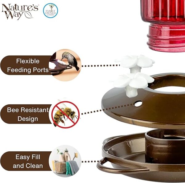Limited time deal 30% off Bird Feeder - Image 3